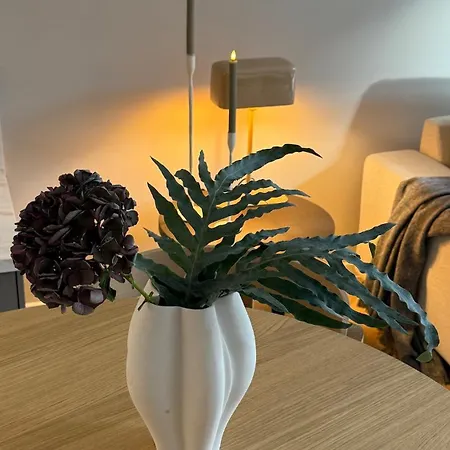 Appartement Elegantes 2 Zi No3 - Chick&zentral
