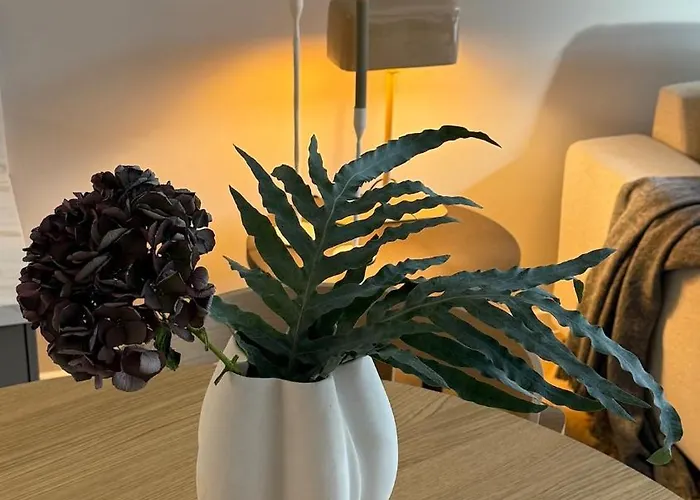 Apartmán Elegantes 2 Zi No3 In Bester Stadtlage